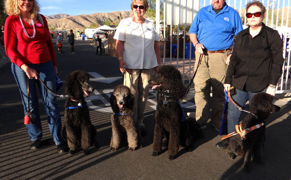 Guide Dogs Of The Desert